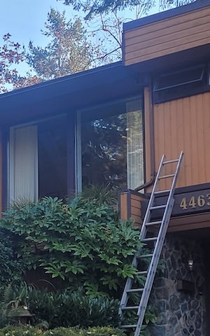 Window Cleaning Services in Victoria